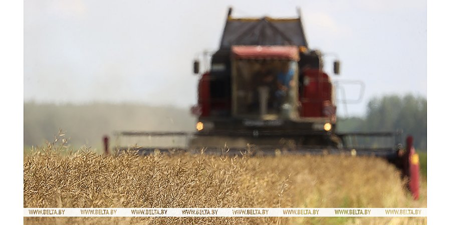 Минтруда: в разгар уборочной на особом контроле условия работы на предприятиях АПК