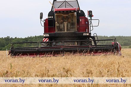 В Вороновском районе стартовала уборочная кампания-2025