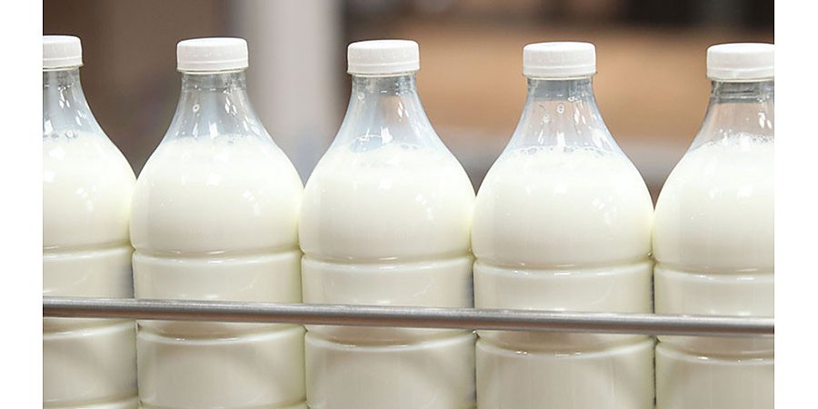 В Беларуси за 2023 год произвели сельскохозяйственной продукции более чем на Br33 млрд