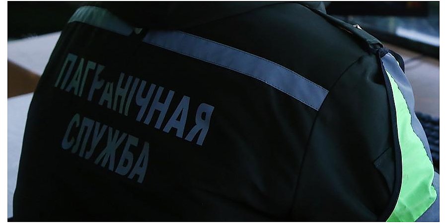 ГПК: Литва возобновила пропуск транспорта через "Шальчининкай"