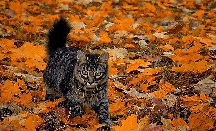 Много солнца, тепла и чуть-чуть дождей. Погода в Беларуси на неделю