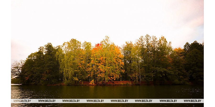 До +12°С и облачно будет сегодня в Беларуси