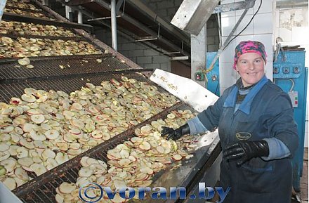 Сезон большой сушки 