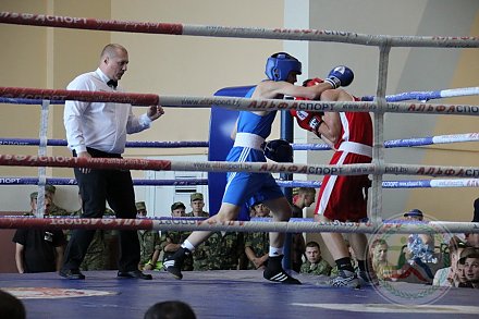 В Гродно проходит первенство Республики Беларусь по боксу