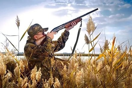 Открытие сезона охоты: важные правила и рекомендации