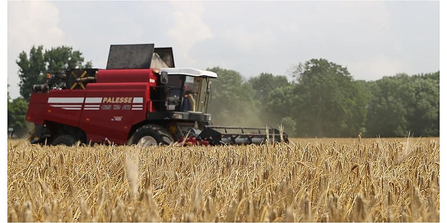 В Беларуси началась уборка озимых зерновых