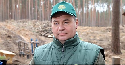 Роман Головченко: более 70 тыс. человек приняли участие в акции "Дай лесу новае жыццё!"