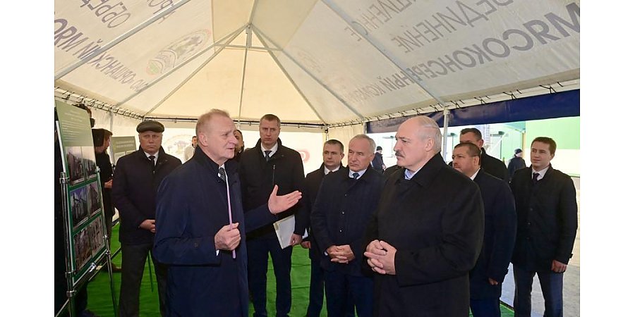 "Образец для Беларуси". Александр Лукашенко посетил инновационное хозяйство в Оршанском районе