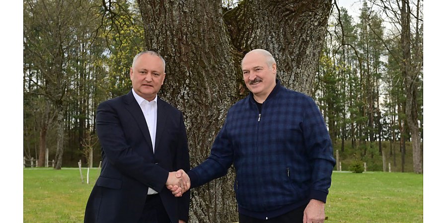 Неформальная встреча Александр Лукашенко с Игорем Додоном: поговорили по душам, обсудили санкции, политику и не только