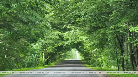 Кратковременные дожди, грозы и порывистый ветер ожидаются в Беларуси 17 июня