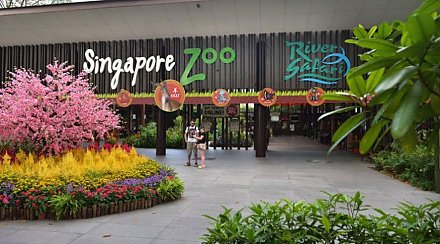 В Сингапуре с 1 июля открываются основные туристические достопримечательности