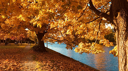 Народные приметы на 8 сентября: что можно и нельзя делать в этот день