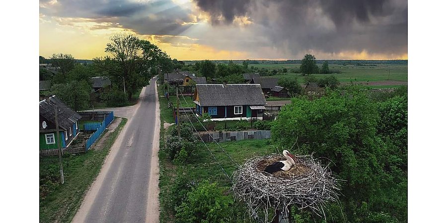 С начала года «Гродноэнерго» установило почти 6 500 птицезащитных устройств на линиях электропередачи