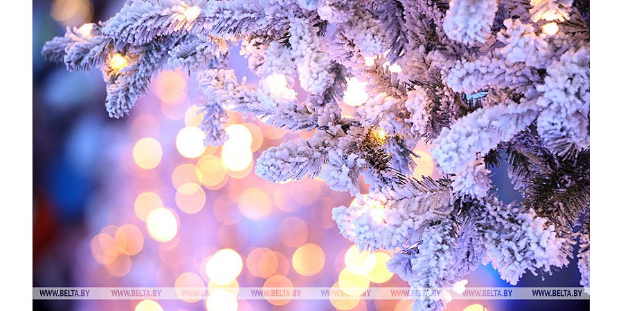 В Гродненской области выявили в продаже опасные гирлянды