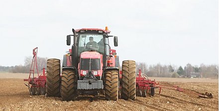 Сев озимых зерновых в Беларуси проведен более чем на 80% площадей