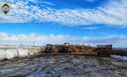 В Вороновском районе смертельно травмирована женщина: возбуждено уголовное дело