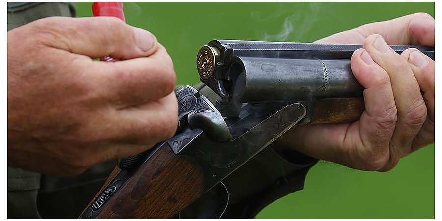 Охота на самцов вальдшнепа открыта в Беларуси