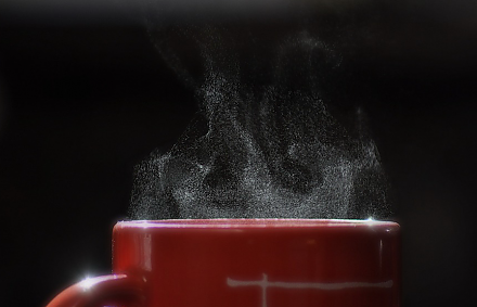 Ученые рассказали о продлевающем жизнь напитке