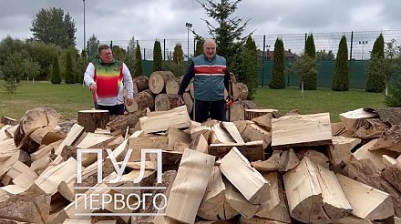 "Не дадим, Семенович, им замерзнуть!" Как Лукашенко для Европы дрова колол