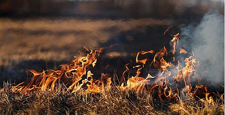 Жгите по правилам! За минувшие выходные на Гродненщине произошли семь случаев возгорания сухой травы