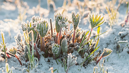 Уберите со стола все ножи в Лаптев день: народные приметы на 22 февраля