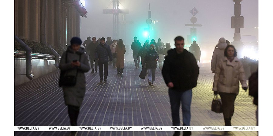 Правительство утвердило программу статистических работ на 2026 год