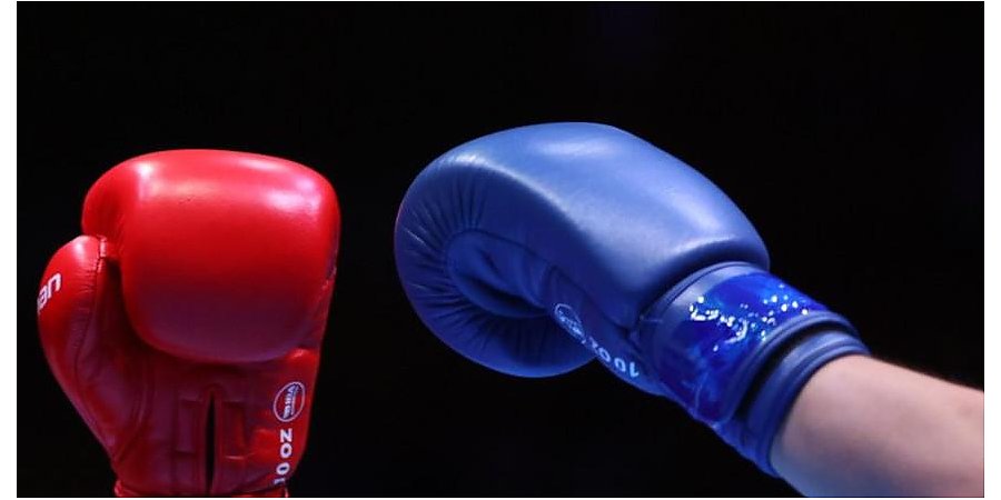 Гродненские боксеры принимают участие в чемпионате Европы в Белграде