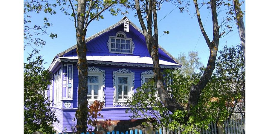 Штраф от 800 до 1,2 тысяч рублей: какие растения лучше не сажать на дачном участке?