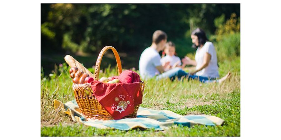 Вороновские спасатели напоминают о безопасном отдыхе на природе