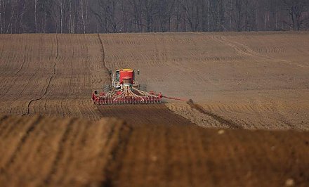 В Гродненской области посеяли более 20 процентов ранних яровых