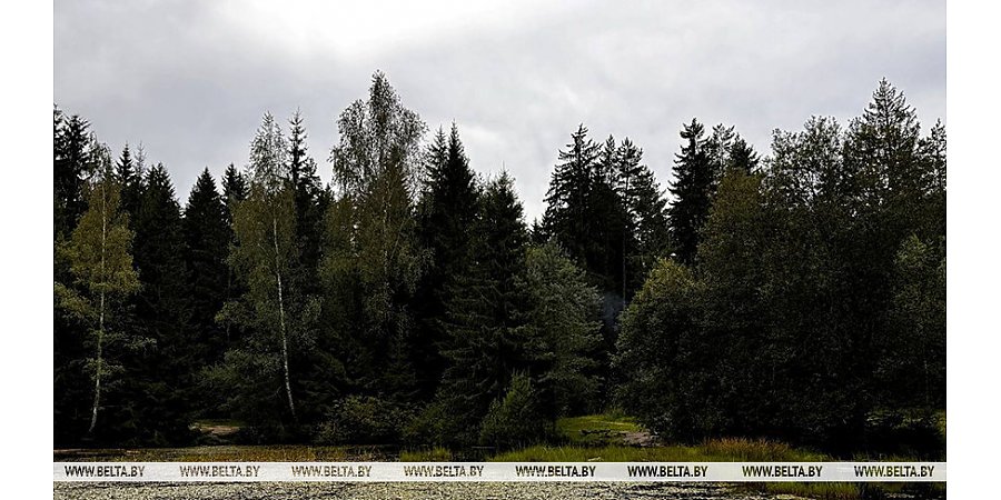 Дожди и до +27°С. Чего ждать от погоды сегодня