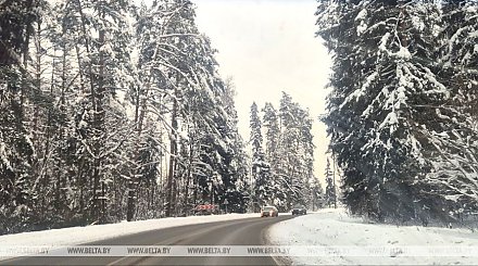 На дорогах гололедица, местами туман. Синоптики о погоде в Беларуси сегодня