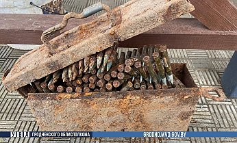 В Гродненском районе на стройке откопали ящик с сотнями патронов