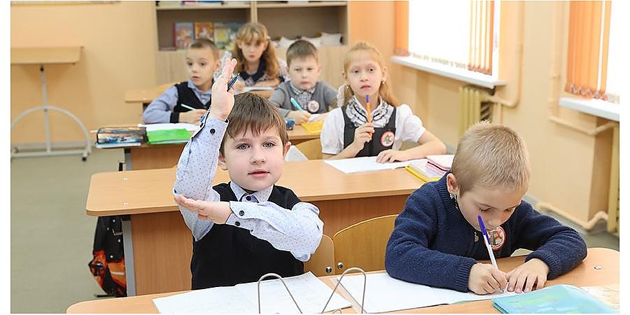В Гродненской области начался прием документов в первые классы: о чем следует помнить родителям