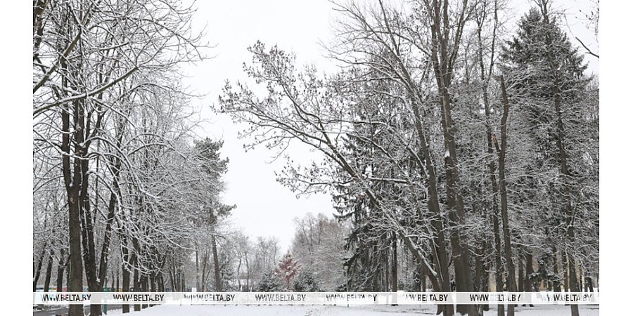 Гололедица и метель ожидаются сегодня в Беларуси