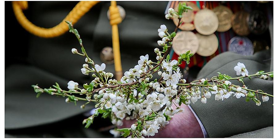 Ветеранов ВОВ наградят юбилейной медалью к 80-летию освобождения Беларуси 9 Мая