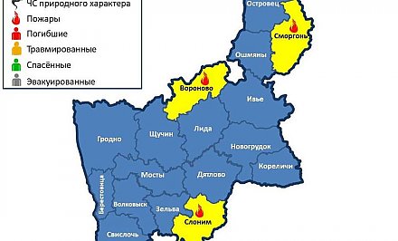 Пожар летней кухни на территории частного домовладения в Вороновском районе