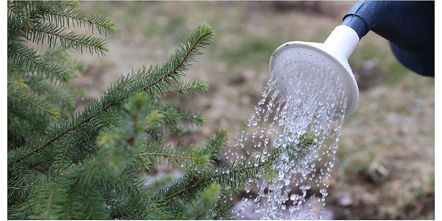 Республиканский субботник пройдет в Беларуси 20 апреля