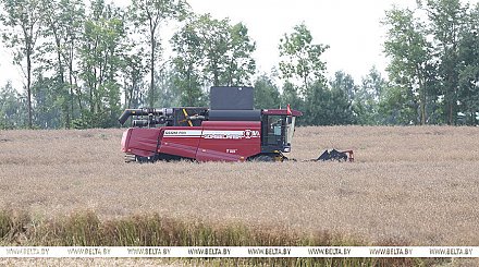 Александр Лукашенко снова посещает Смолевичский район, в центре внимания - уборка озимого рапса