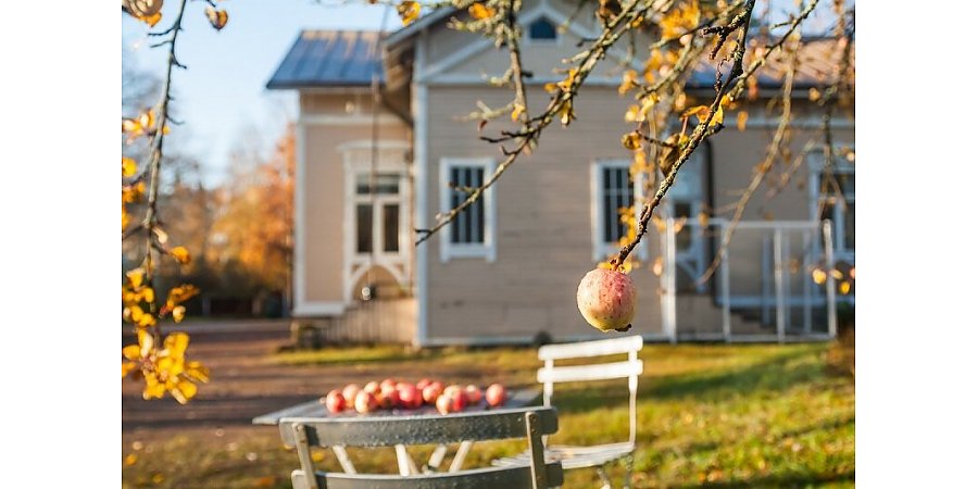 Витамины для сада. Чем подкормить фруктовые деревья в преддверии холодов