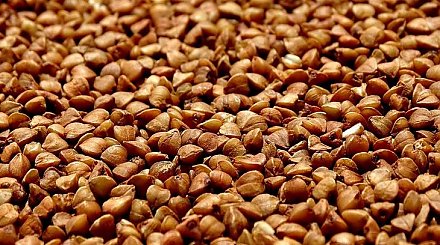 Правительство продлило запрет на вывоз гречки на три месяца