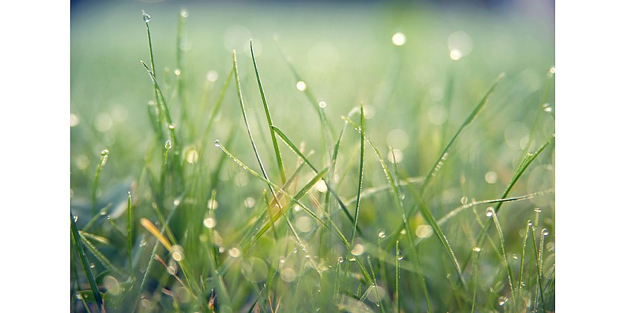 От +28°C к осеннему настроению: Беларусь ждет резкая смена погоды 14-16 августа