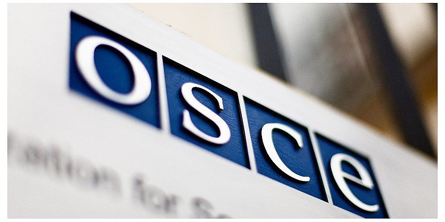 Беларусь не ведет какой-либо значительной военной деятельности, требующей предварительного уведомления - заявление в ОБСЕ