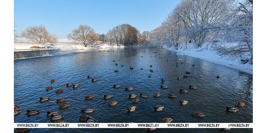 В Беларуси станет значительно теплее. Прогноз погоды на неделю