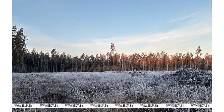 Мокрый снег, дождь, гололедица. Какой будет погода в Беларуси 17 ноября