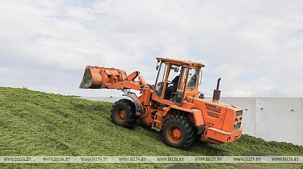 "Качество и еще раз качество!" - Александр Лукашенко требует не допускать безалаберности в сельском хозяйстве