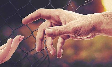 Нелегальные мигранты рассказали, как попадают в Литву из Беларуси