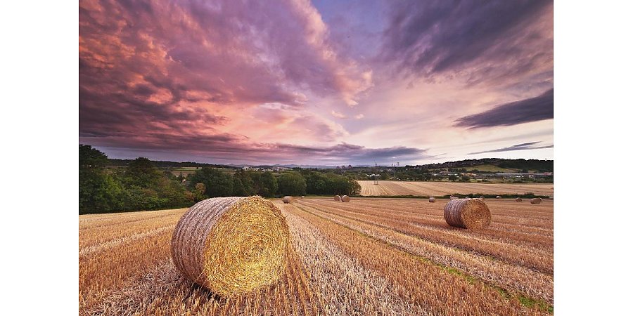 Народные приметы на 10 августа: что можно и нельзя делать в этот день
