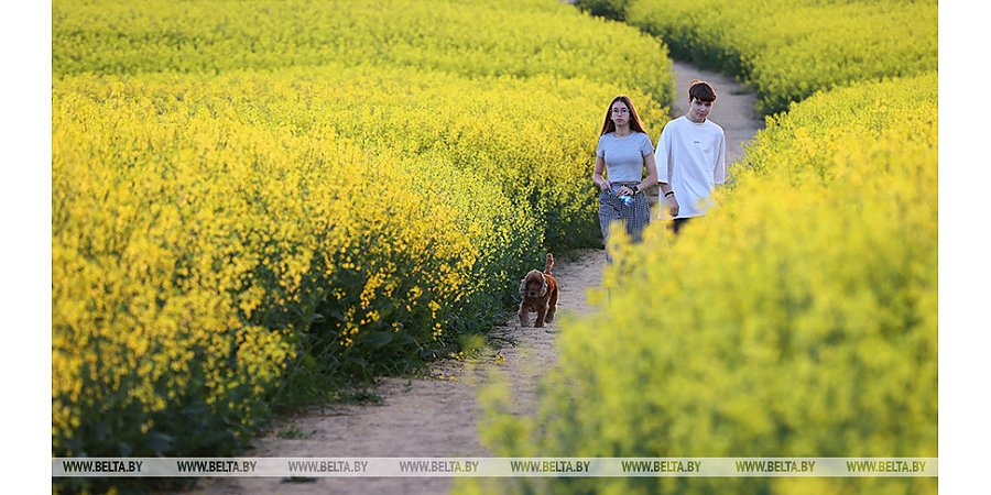 Неделя молодежи и студенчества стартовала в Беларуси