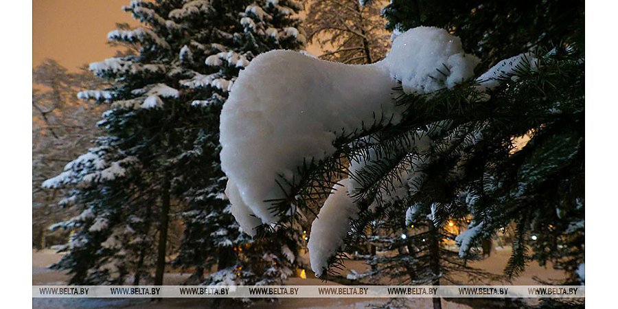 Полиция разогнала участников массовой игры в снежки в центре Мадрида